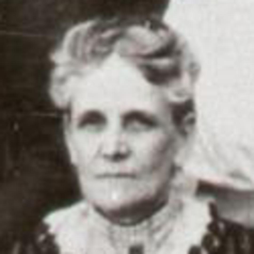 Clara Agnes Gentry (1864 - 1927) Profile